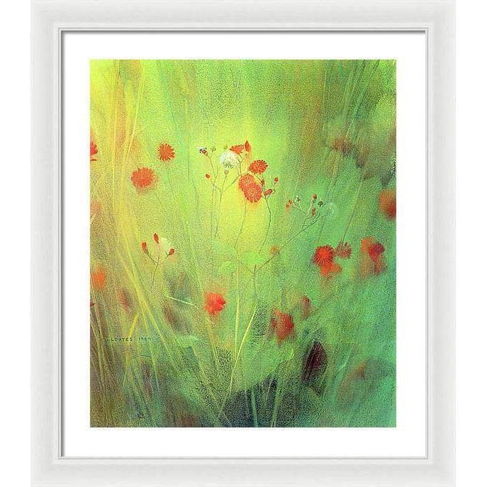 Hawkweed - Framed Print | Artwork by Glen Loates