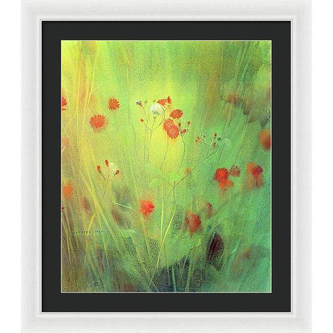 Hawkweed - Framed Print | Artwork by Glen Loates