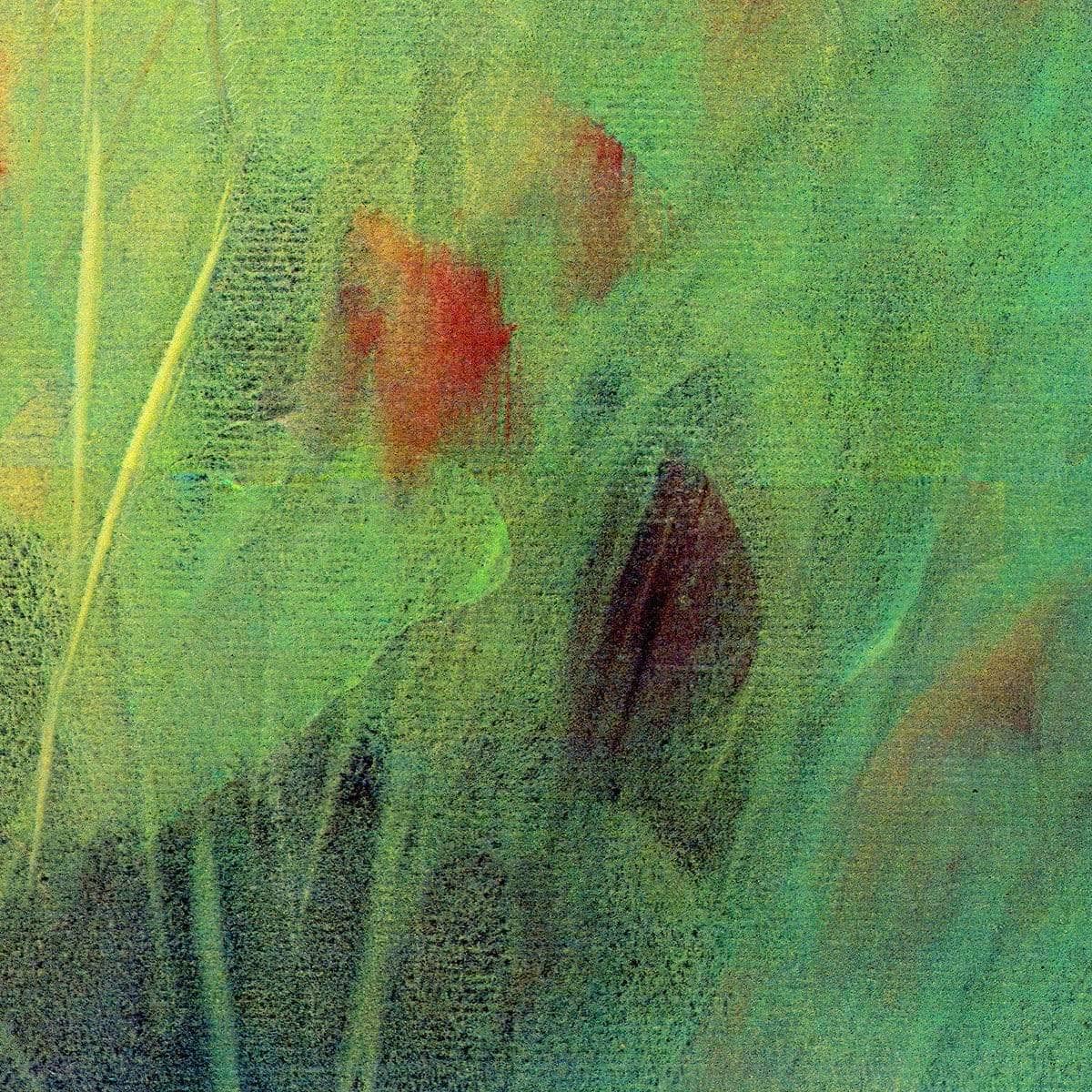 Hawkweed - Framed Print | Artwork by Glen Loates