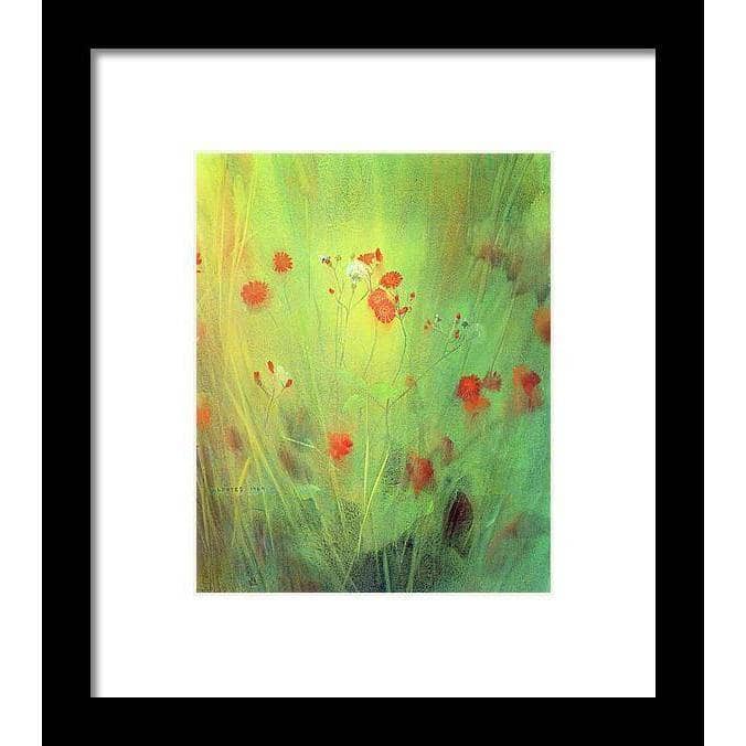 Hawkweed - Framed Print | Artwork by Glen Loates