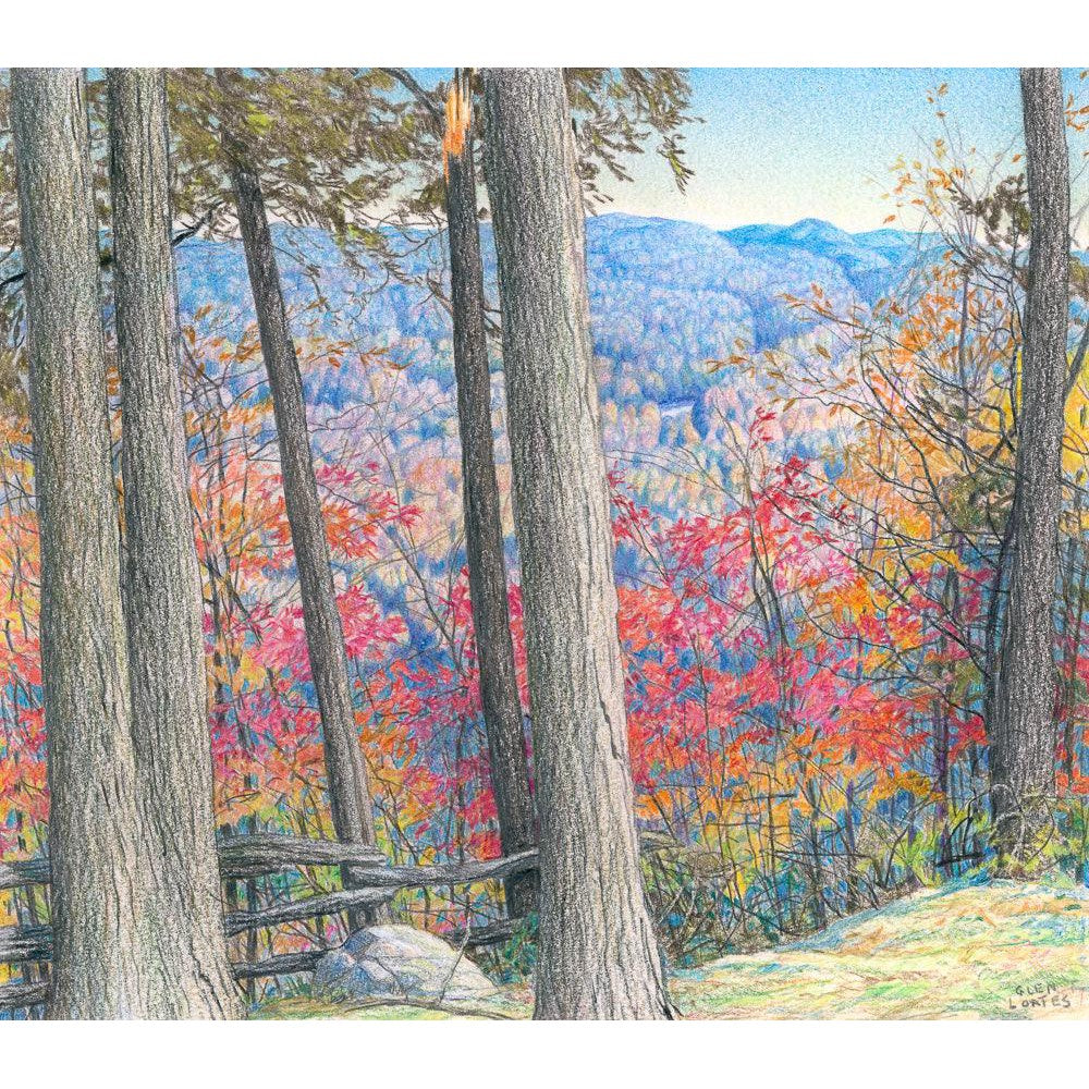 Hockley Valley Rock - Canvas Print | Artwork by Glen Loates