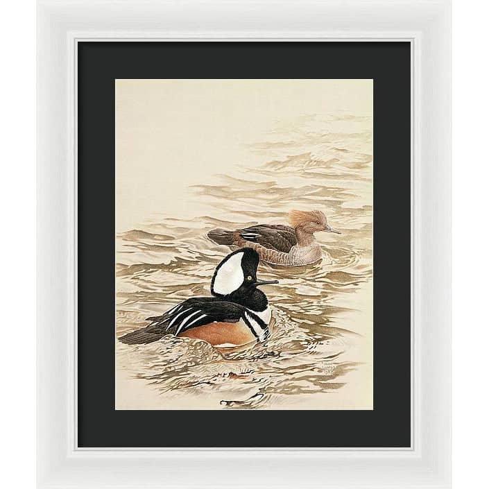 Hooded Mergansers - Framed Print | Artwork by Glen Loates