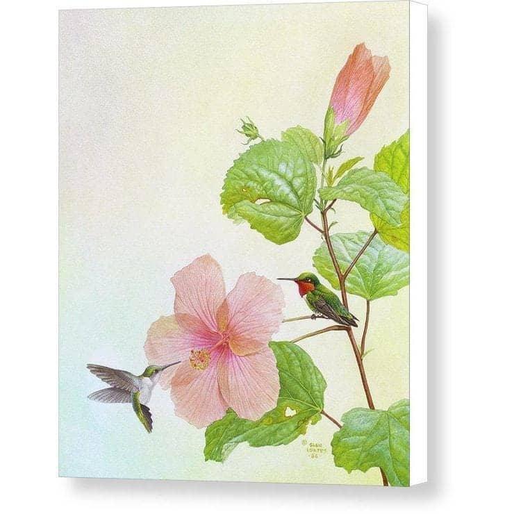 Hummingbirds and Hibiscus - Canvas Print | Artwork by Glen Loates