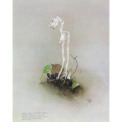 Giclée sur papier