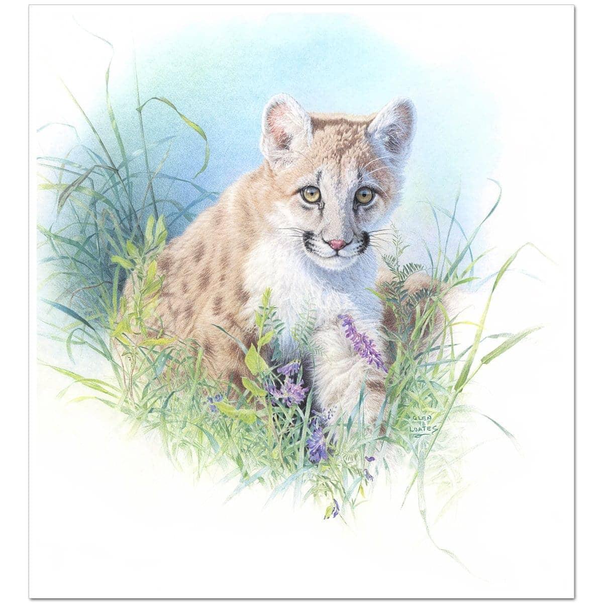 Inquisitive - Art Print | Artwork by Glen Loates