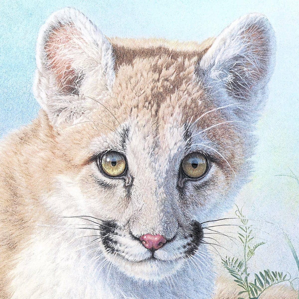 Inquisitive - Art Print | Artwork by Glen Loates