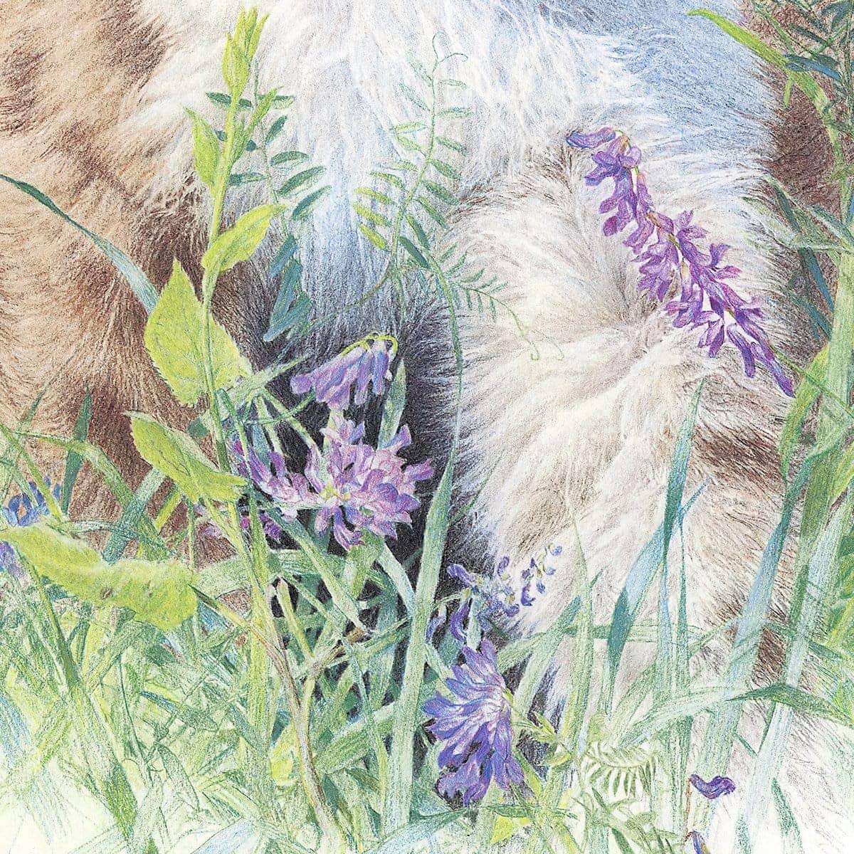 Inquisitive - Art Print | Artwork by Glen Loates