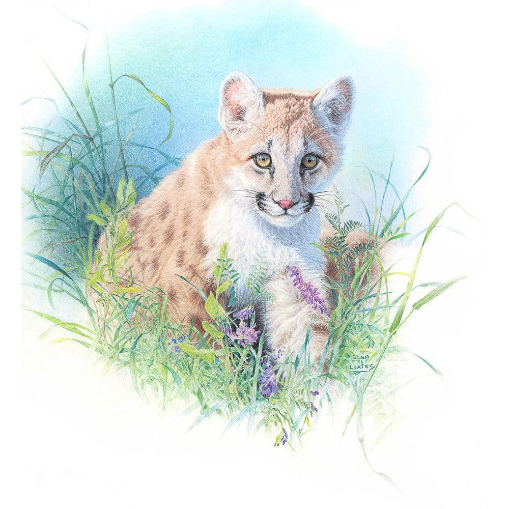 Inquisitive - Art Print | Artwork by Glen Loates