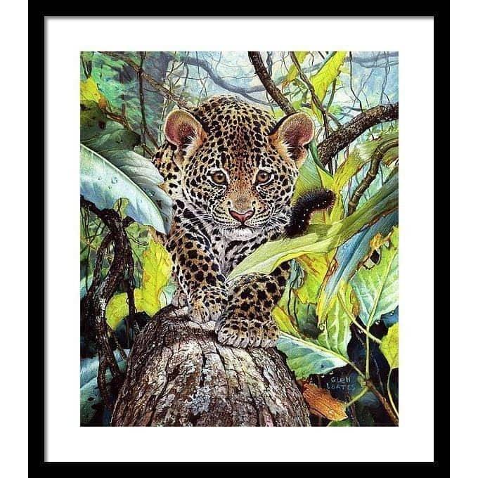 Jaguar Cub - Framed Print | Artwork by Glen Loates
