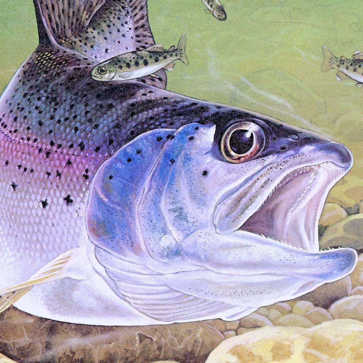 Kingfisher And Rainbow Trout - Canvas Print | Artwork by Glen Loates