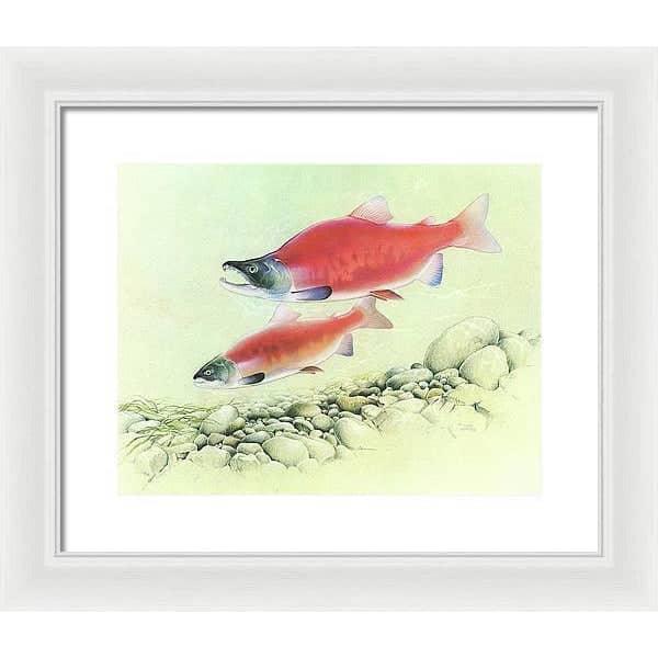 Kokanee Salmon - Framed Print | Artwork by Glen Loates