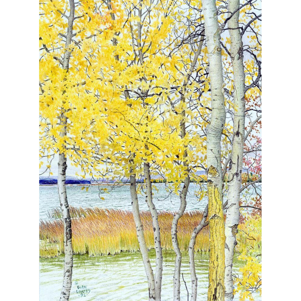 Lac Cardinal Peace River - Canvas Print | Artwork by Glen Loates