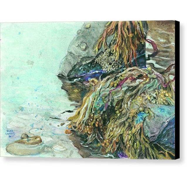 Low Tide Halifax Nova Scotia - Canvas Print | Artwork by Glen Loates