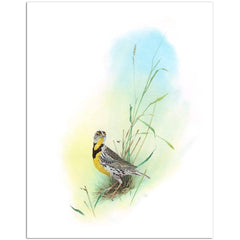 Giclée on Paper