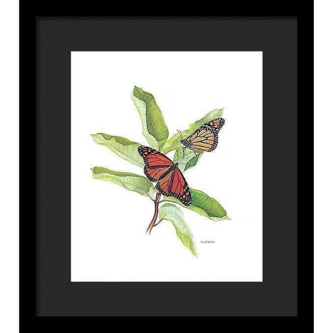 Monarch Butterflies - Framed Print | Artwork by Glen Loates