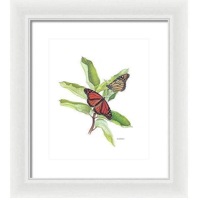 Monarch Butterflies - Framed Print | Artwork by Glen Loates