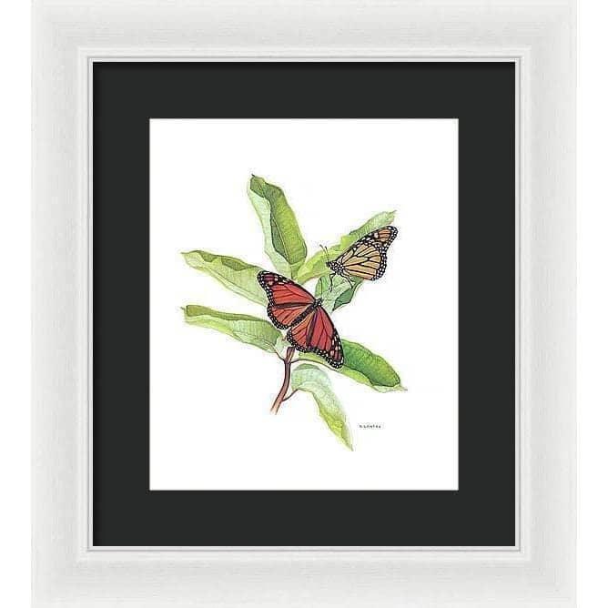 Monarch Butterflies - Framed Print | Artwork by Glen Loates