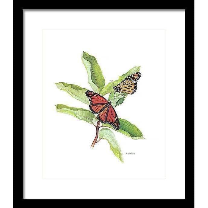 Monarch Butterflies - Framed Print | Artwork by Glen Loates