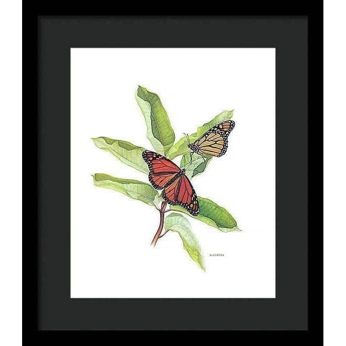 Monarch Butterflies - Framed Print | Artwork by Glen Loates