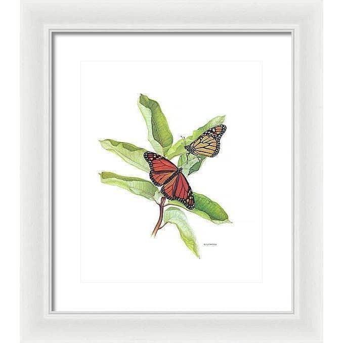 Monarch Butterflies - Framed Print | Artwork by Glen Loates