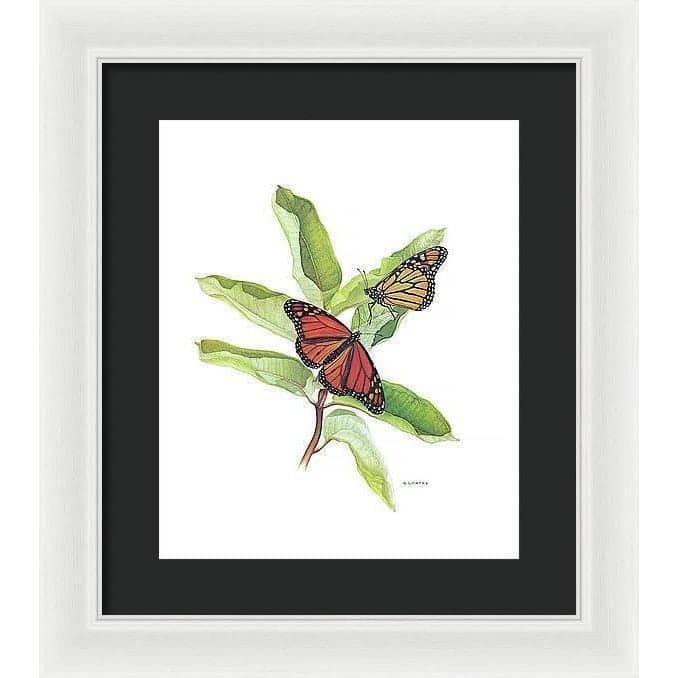 Monarch Butterflies - Framed Print | Artwork by Glen Loates