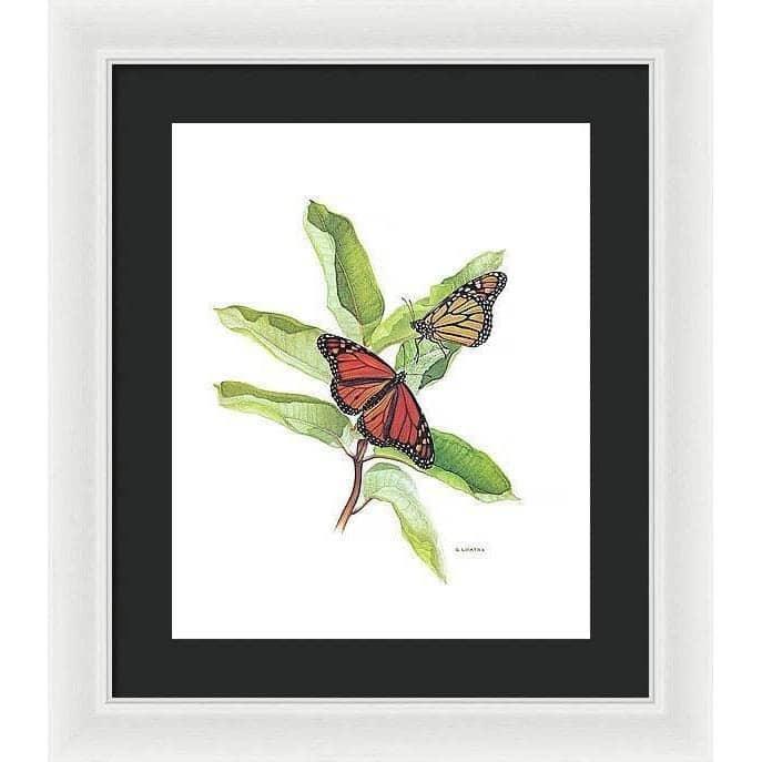Monarch Butterflies - Framed Print | Artwork by Glen Loates