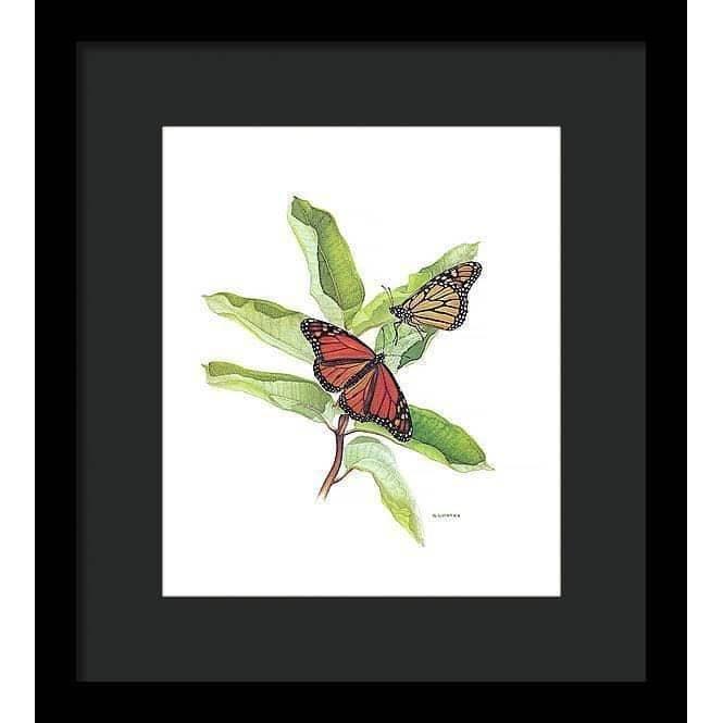 Monarch Butterflies - Framed Print | Artwork by Glen Loates