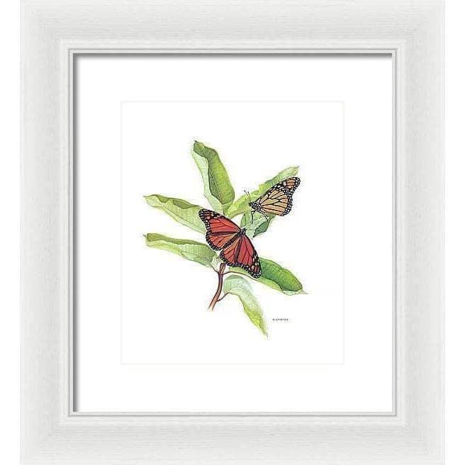 Monarch Butterflies - Framed Print | Artwork by Glen Loates