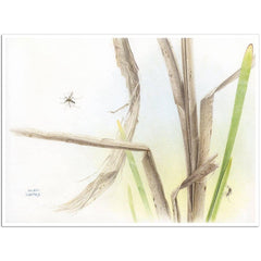Giclée sur papier