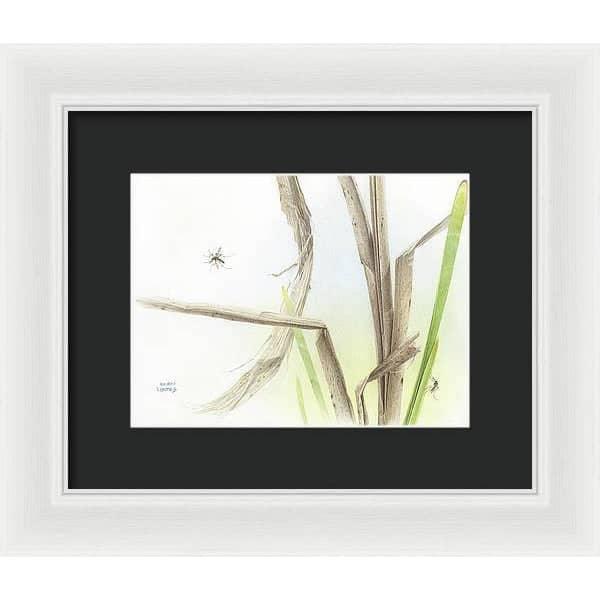 Mosquitoes - Framed Print | Artwork by Glen Loates