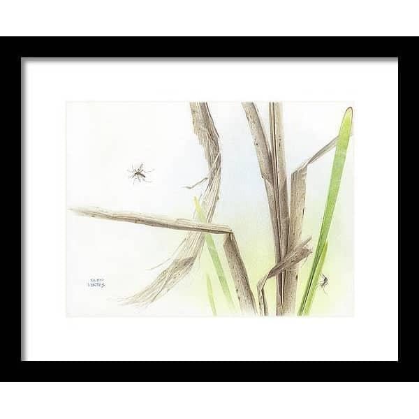 Mosquitoes - Framed Print | Artwork by Glen Loates