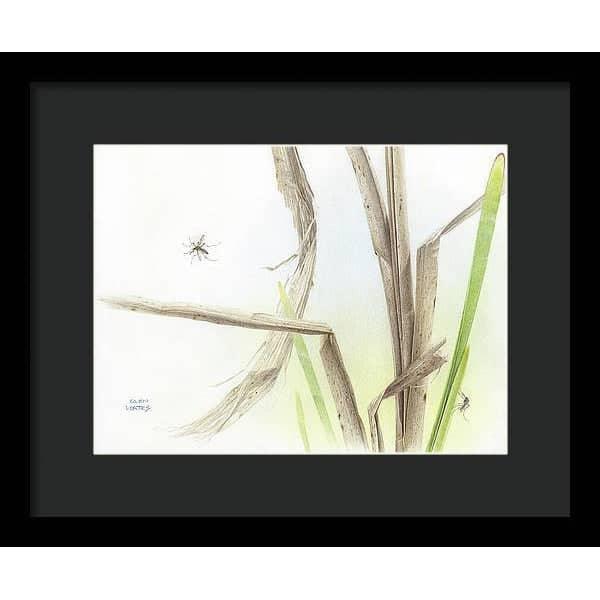 Mosquitoes - Framed Print | Artwork by Glen Loates