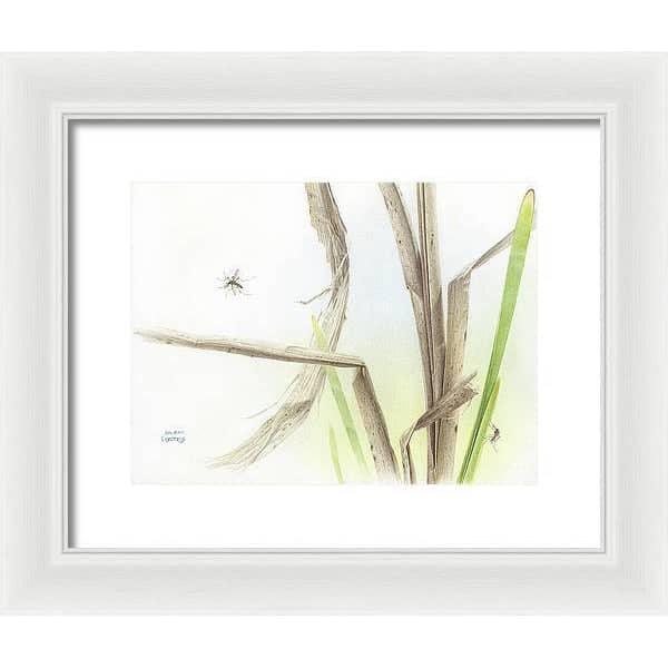 Mosquitoes - Framed Print | Artwork by Glen Loates