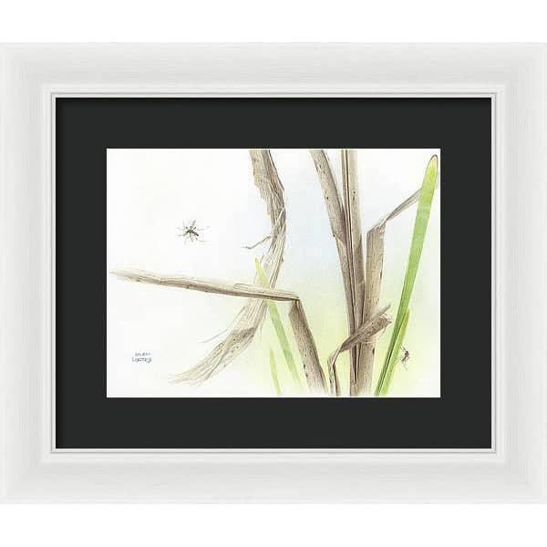 Mosquitoes - Framed Print | Artwork by Glen Loates