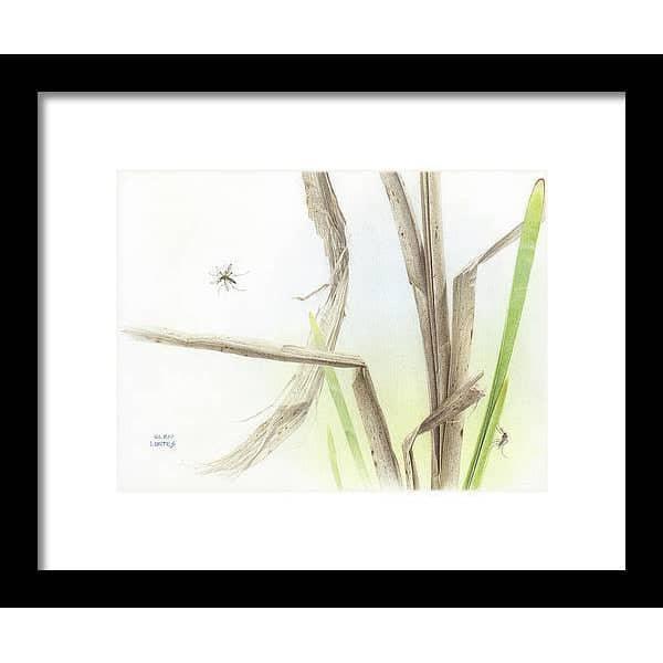 Mosquitoes - Framed Print | Artwork by Glen Loates
