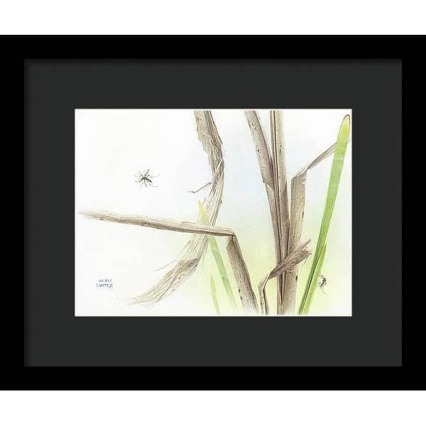 Mosquitoes - Framed Print | Artwork by Glen Loates