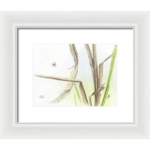 Mosquitoes - Framed Print | Artwork by Glen Loates