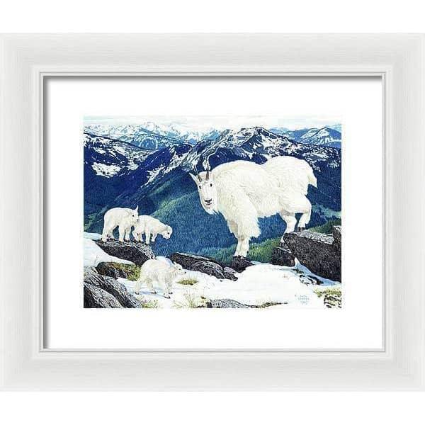 Mountain Goats and Kids - Framed Print | Artwork by Glen Loates