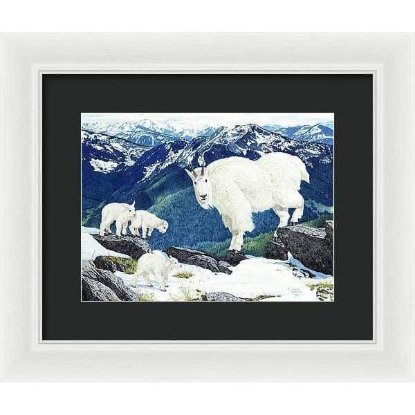 Mountain Goats and Kids - Framed Print | Artwork by Glen Loates