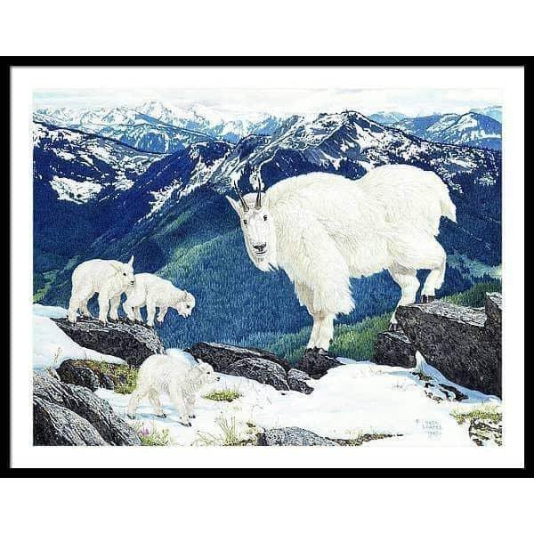 Mountain Goats and Kids - Framed Print | Artwork by Glen Loates