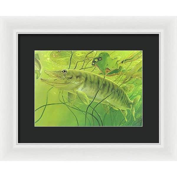 Muskellunge - Framed Print | Artwork by Glen Loates