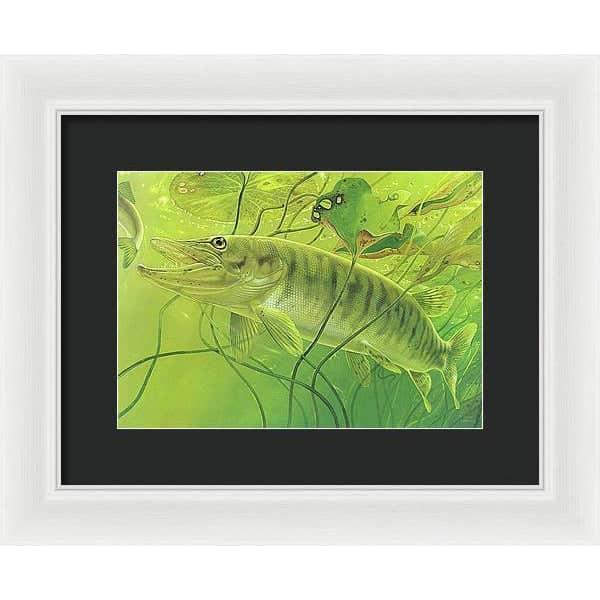 Muskellunge - Framed Print | Artwork by Glen Loates