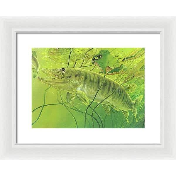 Muskellunge - Framed Print | Artwork by Glen Loates