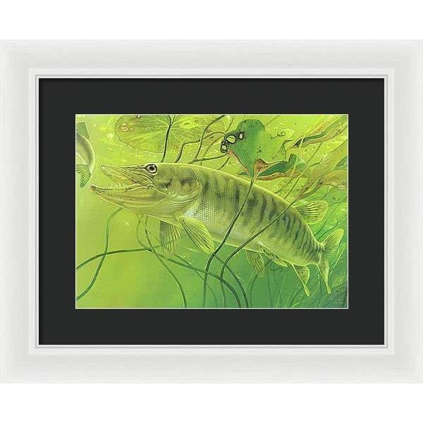 Muskellunge - Framed Print | Artwork by Glen Loates