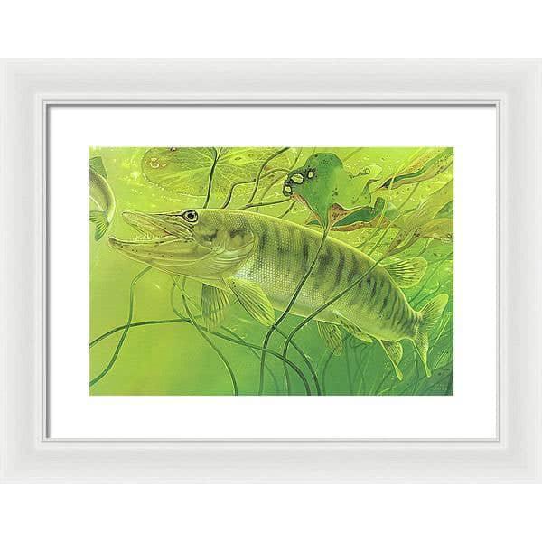 Muskellunge - Framed Print | Artwork by Glen Loates