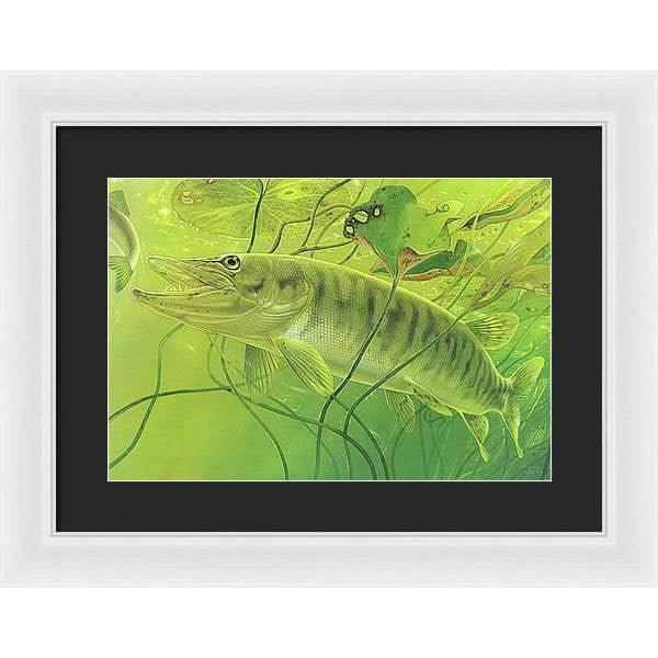 Muskellunge - Framed Print | Artwork by Glen Loates