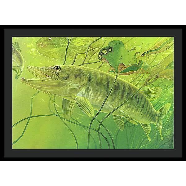 Muskellunge - Framed Print | Artwork by Glen Loates