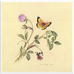 Giclée on Paper