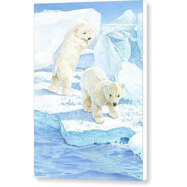 Polar Bear Cubs - Canvas Print | Artwork by Glen Loates