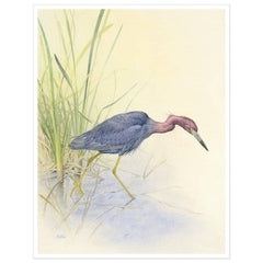 Giclée on Paper